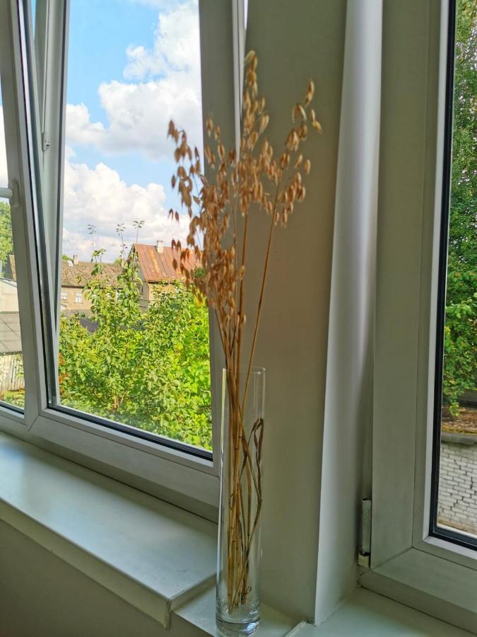 Tolstoi Scandinavian 1 Bedroom Apartment + Free Parking Tartu Esterno foto